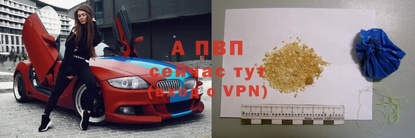 мдпв Вяземский