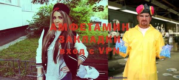 мдпв Вяземский
