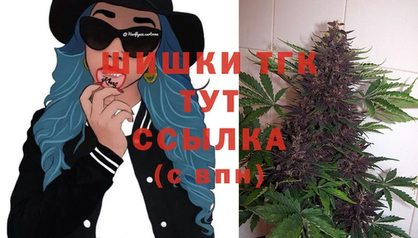 мдпв Вяземский