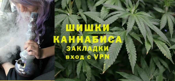мдпв Вяземский