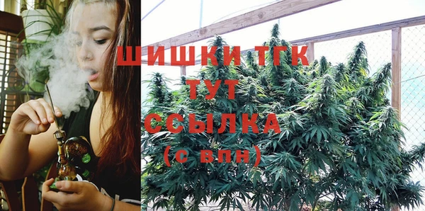 мдпв Вяземский