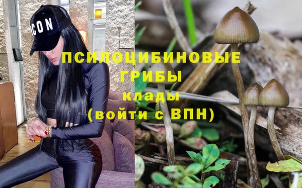 мдпв Вяземский