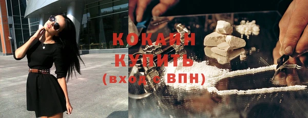 мдпв Вяземский