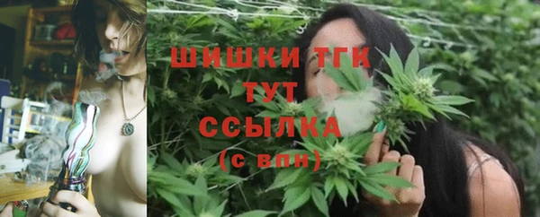 мдпв Вяземский
