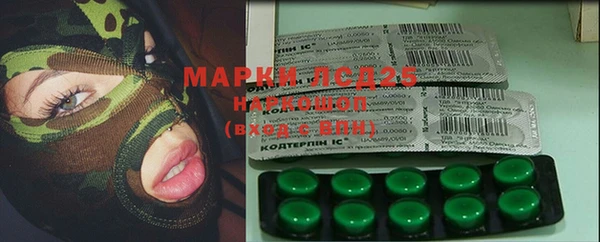 мдпв Вяземский