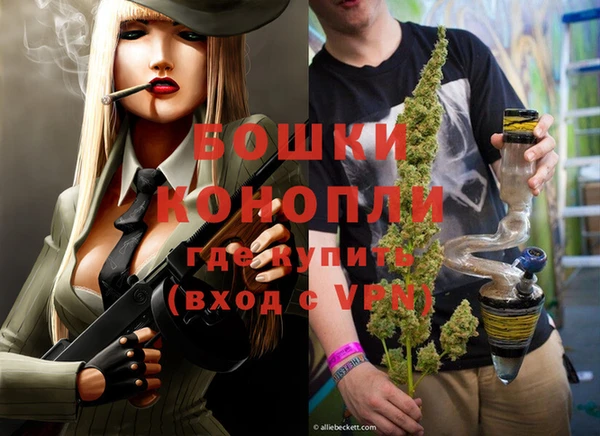 мдпв Вяземский