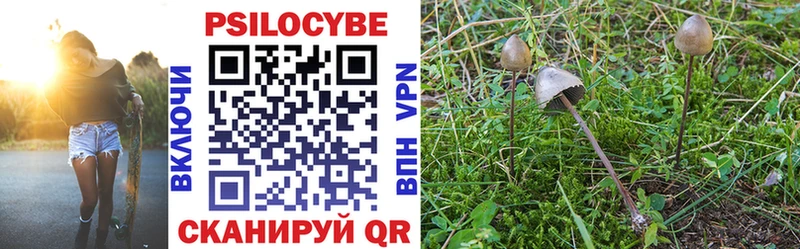Псилоцибиновые грибы Psilocybine cubensis  MEGA ONION  Шлиссельбург 